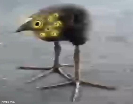 image tagged in lobotomy corporation bird | made w/ Imgflip meme maker