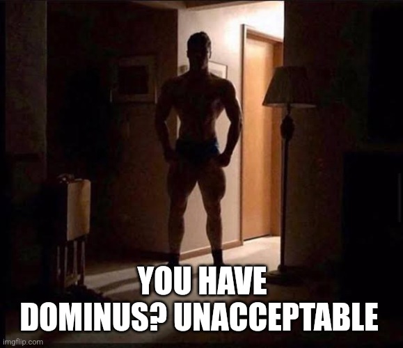 shadowy buff guy in a doorway | YOU HAVE DOMINUS? UNACCEPTABLE | image tagged in shadowy buff guy in a doorway | made w/ Imgflip meme maker
