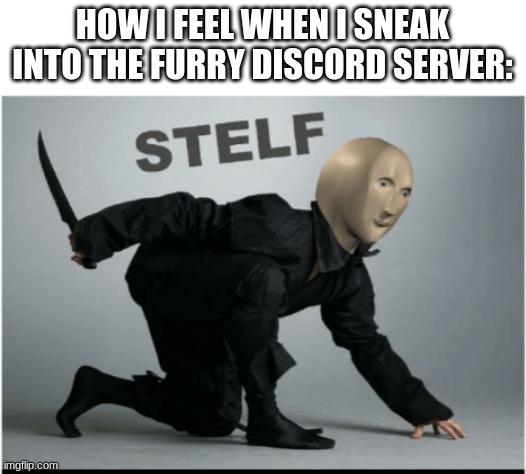 meet the spy | HOW I FEEL WHEN I SNEAK INTO THE FURRY DISCORD SERVER: | image tagged in stelf | made w/ Imgflip meme maker