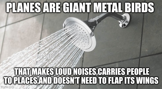 planes | PLANES ARE GIANT METAL BIRDS; THAT MAKES LOUD NOISES,CARRIES PEOPLE TO PLACES,AND DOESN'T NEED TO FLAP ITS WINGS | image tagged in shower thoughts,airplane | made w/ Imgflip meme maker