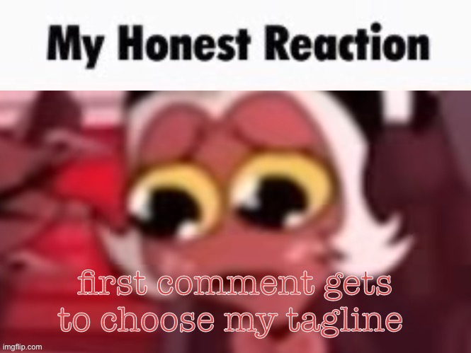 my honest reaction | first comment gets to choose my tagline | image tagged in my honest reaction | made w/ Imgflip meme maker