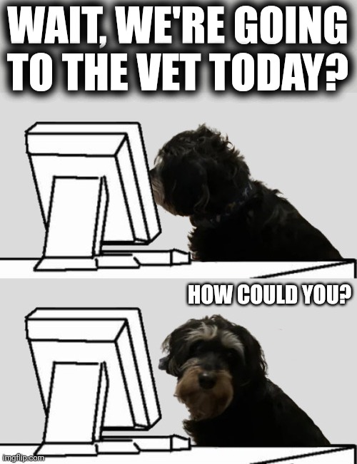 WAIT, WE'RE GOING
TO THE VET TODAY? HOW COULD YOU? | made w/ Imgflip meme maker