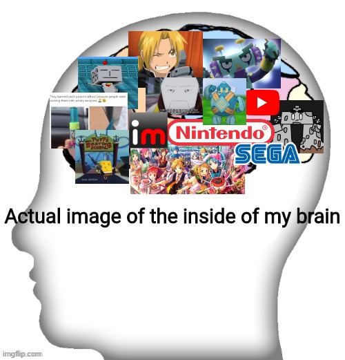 Actual image of the inside of my brain | image tagged in actual image of the inside of my brain | made w/ Imgflip meme maker