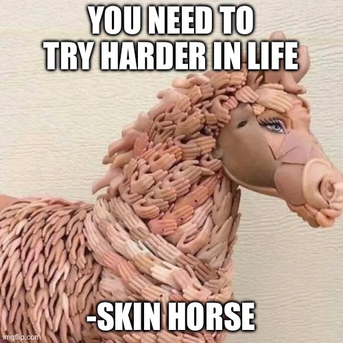 Skin horse | YOU NEED TO TRY HARDER IN LIFE -SKIN HORSE | image tagged in horse | made w/ Imgflip meme maker