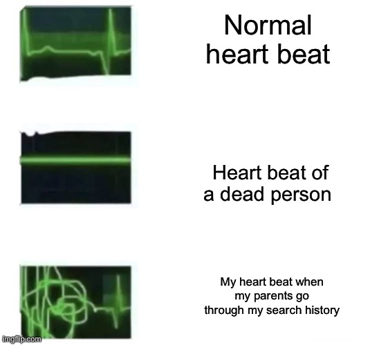 Heart beat goes INSANE | Normal heart beat; Heart beat of a dead person; My heart beat when my parents go through my search history | image tagged in heart beat goes insane | made w/ Imgflip meme maker