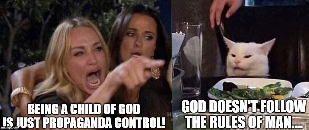 woman yelling at cat | BEING A CHILD OF GOD IS JUST PROPAGANDA CONTROL! GOD DOESN'T FOLLOW THE RULES OF MAN.... | image tagged in woman yelling at cat | made w/ Imgflip meme maker