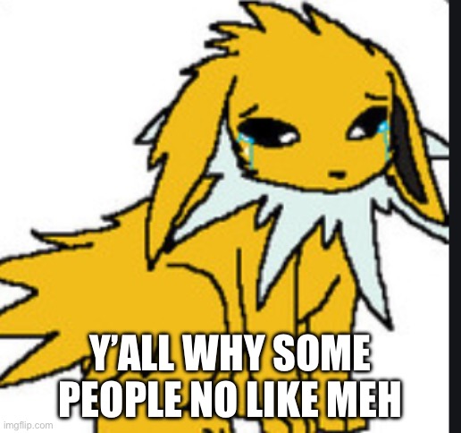 sad jolteon | Y’ALL WHY SOME PEOPLE NO LIKE MEH | image tagged in sad jolteon | made w/ Imgflip meme maker