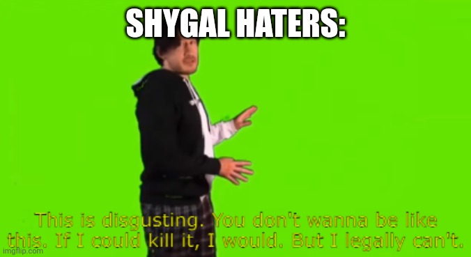 Markiplier this is disgusting | SHYGAL HATERS: | image tagged in markiplier this is disgusting | made w/ Imgflip meme maker