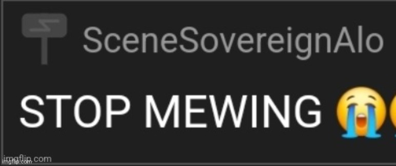 stop mewing | image tagged in stop mewing | made w/ Imgflip meme maker