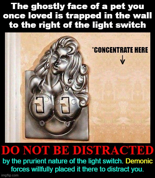 Reunite with a Lost Pet... Not a Joke! Important! | The ghostly face of a pet you
once loved is trapped in the wall
to the right of the light switch DO NOT BE DISTRACTED by the prurient nature | image tagged in vince vance,optical illusion,memes,pets,light switch,boobs | made w/ Imgflip meme maker