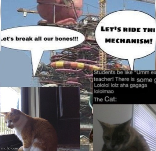 the one looking out the window is my cate | made w/ Imgflip meme maker