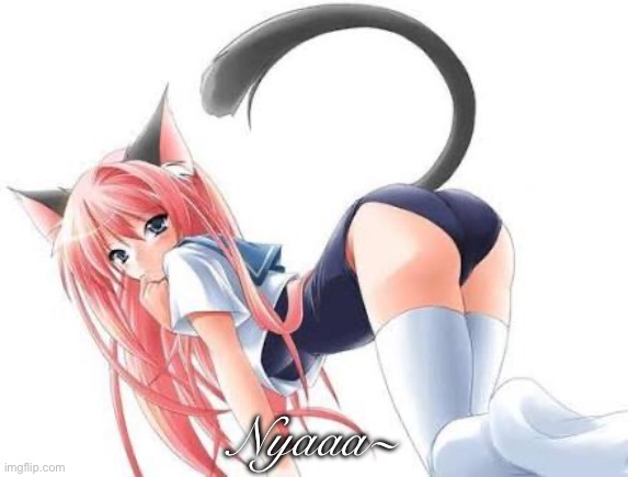 Cat girl | Nyaaa~ | image tagged in cat girl | made w/ Imgflip meme maker