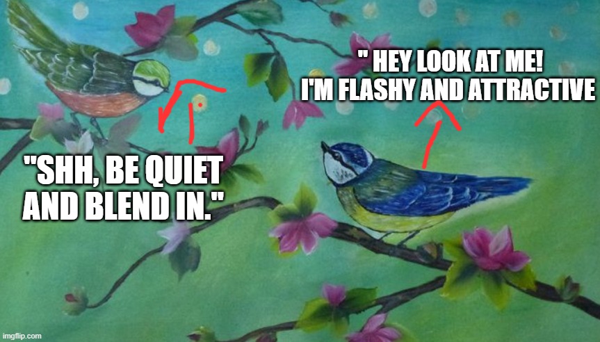 Two birds on a branch | " HEY LOOK AT ME! I'M FLASHY AND ATTRACTIVE; "SHH, BE QUIET AND BLEND IN." | image tagged in funny memes | made w/ Imgflip meme maker