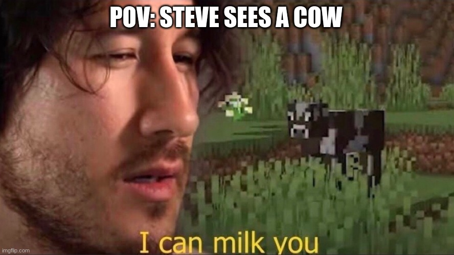 I can milk you (template) | POV: STEVE SEES A COW | image tagged in i can milk you template | made w/ Imgflip meme maker