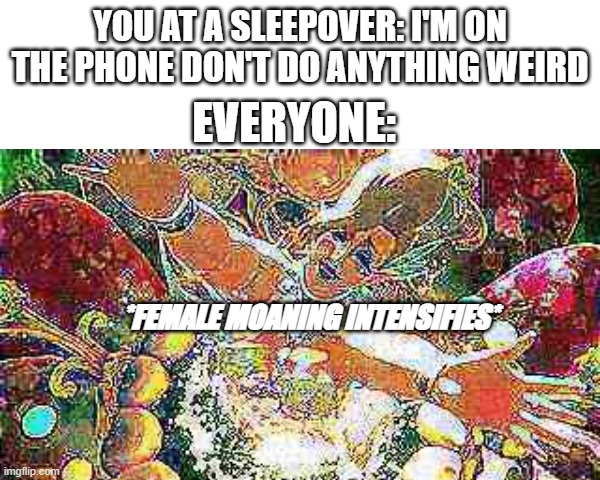 bro the fairies are so WEIRD | YOU AT A SLEEPOVER: I'M ON THE PHONE DON'T DO ANYTHING WEIRD; EVERYONE:; *FEMALE MOANING INTENSIFIES* | image tagged in legend of zelda,meme,video games,gaming | made w/ Imgflip meme maker