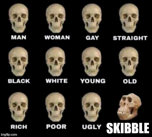 idiot skull | SKIBBLE | image tagged in idiot skull | made w/ Imgflip meme maker
