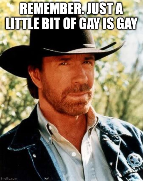 Chuck Norris Meme | REMEMBER. JUST A LITTLE BIT OF GAY IS GAY | image tagged in memes,chuck norris | made w/ Imgflip meme maker