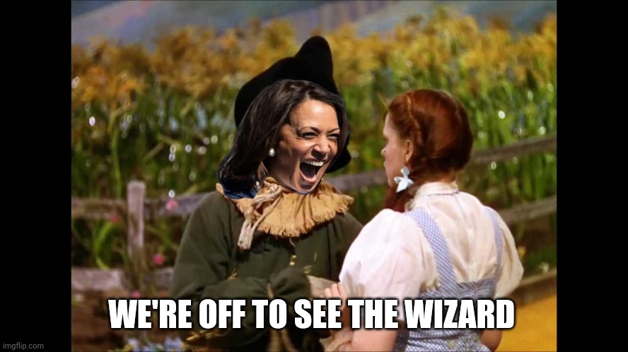 wizard of oz scarecrow | WE'RE OFF TO SEE THE WIZARD | image tagged in wizard of oz scarecrow | made w/ Imgflip meme maker