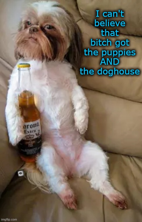 I can't believe that bitch got the puppies AND the doghouse | image tagged in dog,beer,divorce | made w/ Imgflip meme maker