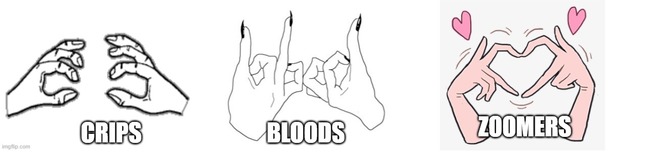 Crips, Bloods, X | ZOOMERS | image tagged in crips bloods x | made w/ Imgflip meme maker