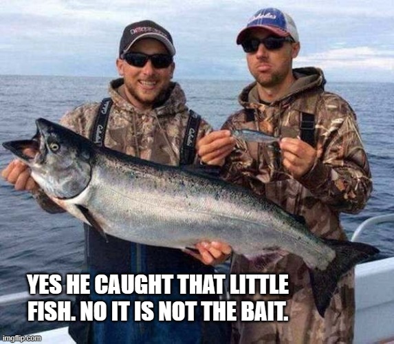 meme by Brad little fish is not the bait fishing | YES HE CAUGHT THAT LITTLE FISH. NO IT IS NOT THE BAIT. | image tagged in sports,funny,fishing,funny memes,humor | made w/ Imgflip meme maker