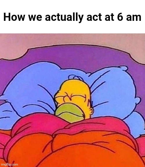 Homer Simpson sleeping peacefully | How we actually act at 6 am | image tagged in homer simpson sleeping peacefully | made w/ Imgflip meme maker