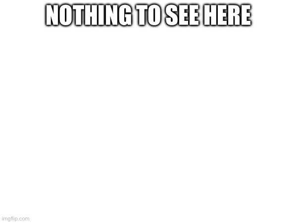 Nothing | NOTHING TO SEE HERE | image tagged in blank white template | made w/ Imgflip meme maker