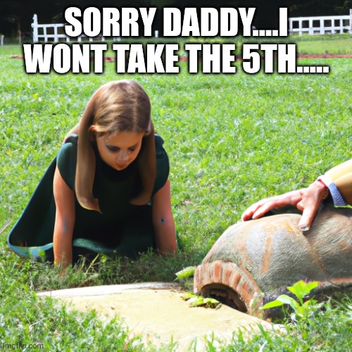 Ivanka burrying her dad using a tortoiseshell | SORRY DADDY....I WONT TAKE THE 5TH..... | image tagged in ivanka burrying her dad using a tortoiseshell | made w/ Imgflip meme maker