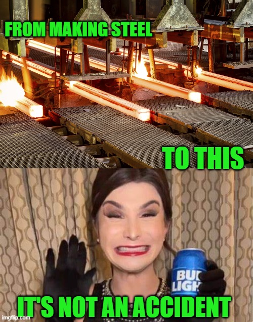 You think this is not planned? | FROM MAKING STEEL; TO THIS; IT'S NOT AN ACCIDENT | image tagged in democrats | made w/ Imgflip meme maker