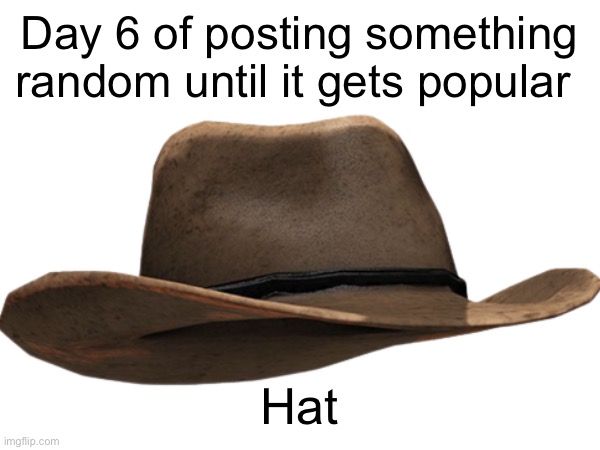 Hat | Day 6 of posting something random until it gets popular; Hat | image tagged in meme | made w/ Imgflip meme maker