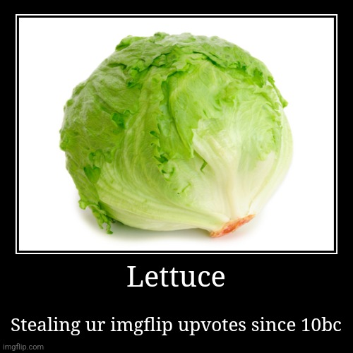 Lettuce | Stealing ur imgflip upvotes since 10bc | image tagged in funny,demotivationals | made w/ Imgflip demotivational maker