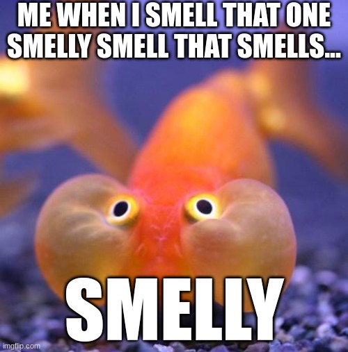 Smelly | ME WHEN I SMELL THAT ONE SMELLY SMELL THAT SMELLS... SMELLY | image tagged in smelly smell that smells,smelly | made w/ Imgflip meme maker