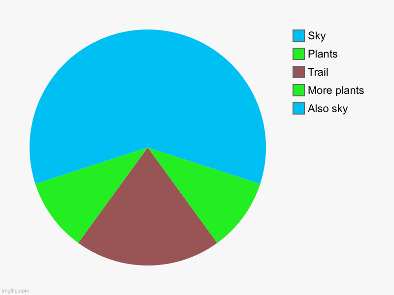 Hiking trail | Also sky, More plants, Trail, Plants, Sky | image tagged in charts,pie charts | made w/ Imgflip chart maker