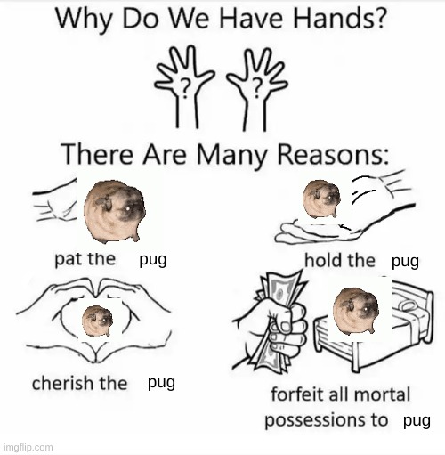 idk i have lost all of my brain cells | pug; pug; pug; pug | image tagged in why do we have hands all blank | made w/ Imgflip meme maker