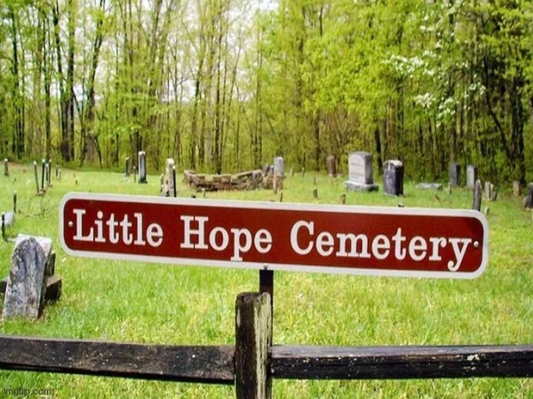 yea.... LITTLE hope, right. does rule 75 mean posting the same image multiple times, or different on topic images multiple times | image tagged in dark humor,cemetery,you had one job | made w/ Imgflip meme maker