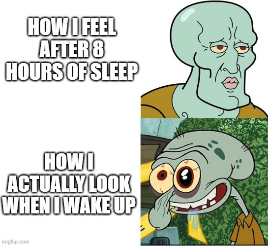 sleepy squidy | HOW I FEEL AFTER 8 HOURS OF SLEEP; HOW I ACTUALLY LOOK WHEN I WAKE UP | image tagged in handsome squidward ugly squidward,don't you squidward,spongebob,funny,squidward | made w/ Imgflip meme maker