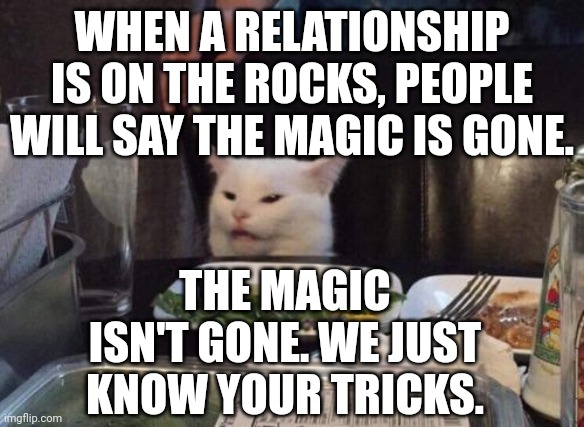 Salad cat | WHEN A RELATIONSHIP IS ON THE ROCKS, PEOPLE WILL SAY THE MAGIC IS GONE. THE MAGIC ISN'T GONE. WE JUST KNOW YOUR TRICKS. | image tagged in salad cat | made w/ Imgflip meme maker