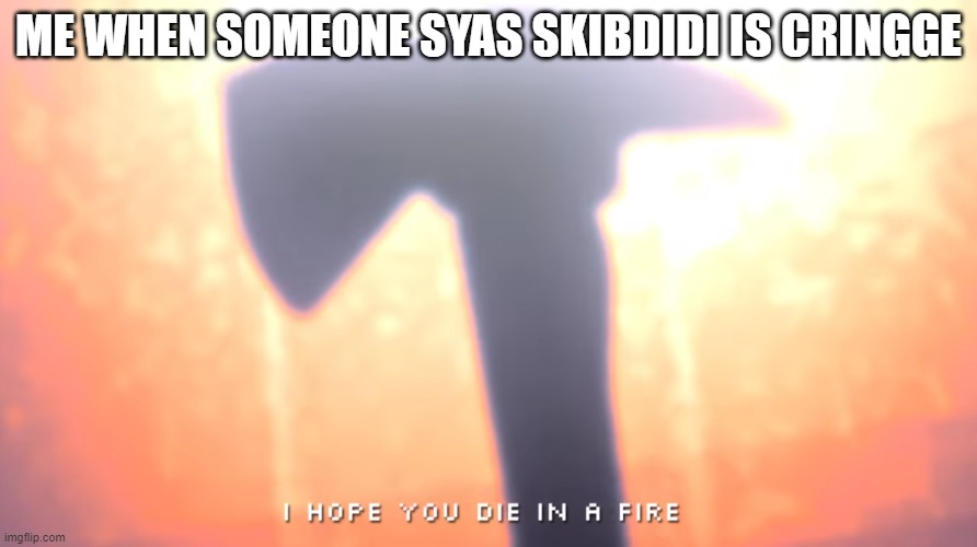 lol | ME WHEN SOMEONE SYAS SKIBDIDI IS CRINGGE | image tagged in die in a fire | made w/ Imgflip meme maker