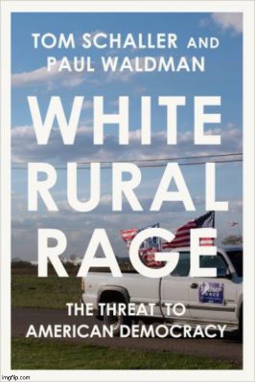 This book nails it! | image tagged in white rural rage book | made w/ Imgflip meme maker