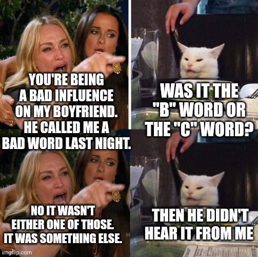 WAS IT THE "B" WORD OR THE "C" WORD? YOU'RE BEING A BAD INFLUENCE ON MY BOYFRIEND. HE CALLED ME A BAD WORD LAST NIGHT. NO IT WASN'T EITHER ONE OF THOSE. IT WAS SOMETHING ELSE. THEN HE DIDN'T HEAR IT FROM ME | image tagged in smudge the cat,memes,woman yelling at cat | made w/ Imgflip meme maker