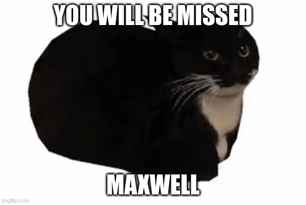 RIP maxwell 2017-2020 | YOU WILL BE MISSED; MAXWELL | image tagged in maxwell | made w/ Imgflip meme maker