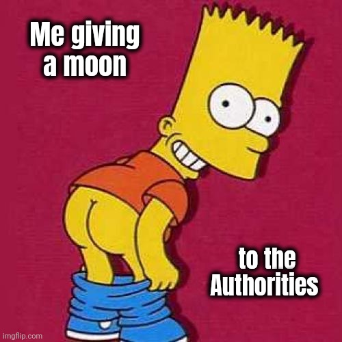 Bart Simpson Mooning | Me giving a moon to the Authorities | image tagged in bart simpson mooning | made w/ Imgflip meme maker