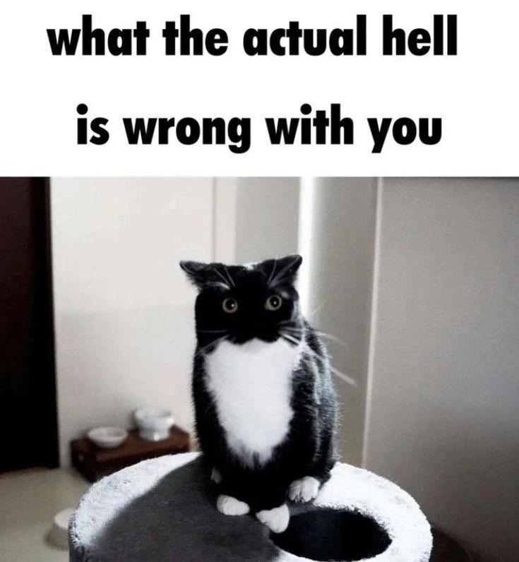High Quality What The Actual Hell Is Wrong With You Blank Meme Template
