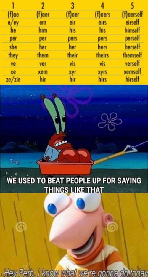 yes | image tagged in pronoun list,mr krabs we used to beat people up for saying things like that,hey ferb | made w/ Imgflip meme maker