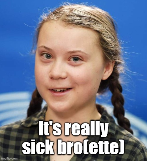 Greta Thunberg | It's really sick bro(ette) | image tagged in greta thunberg | made w/ Imgflip meme maker