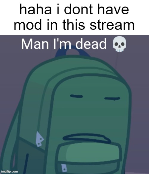L | haha i dont have mod in this stream | image tagged in man i'm dead liam hfjone | made w/ Imgflip meme maker