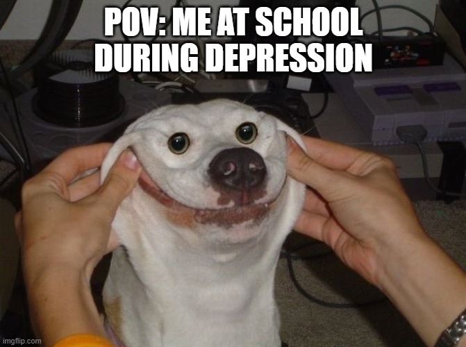 Forced To Smile Dog | POV: ME AT SCHOOL DURING DEPRESSION | image tagged in forced to smile dog | made w/ Imgflip meme maker