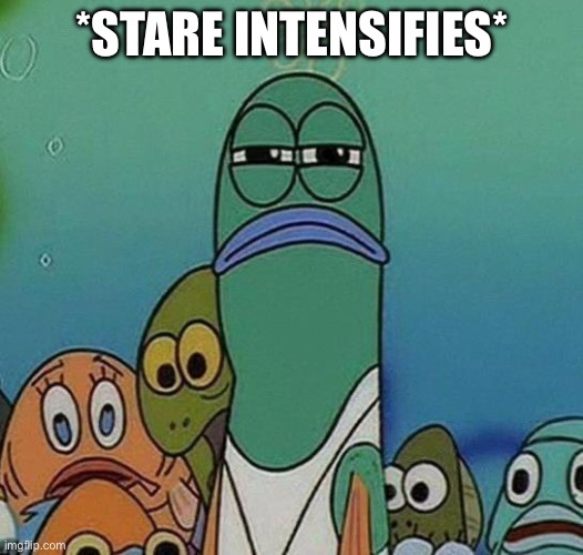 SpongeBob | *STARE INTENSIFIES* | image tagged in spongebob | made w/ Imgflip meme maker