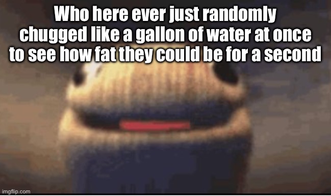 Is it just me? I did this as a kid I don’t know why tho | Who here ever just randomly chugged like a gallon of water at once to see how fat they could be for a second | image tagged in ballsock | made w/ Imgflip meme maker