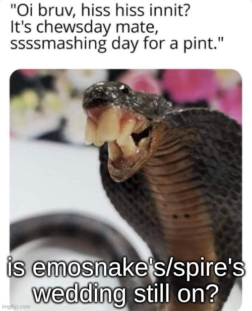 Bri'ish SnAYKE | is emosnake's/spire's wedding still on? | image tagged in bri'ish snayke | made w/ Imgflip meme maker